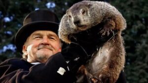 Read more about the article Its Groundhog Day: Are You in a Career Coma?